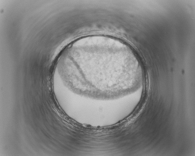 X0000053081501200508081232