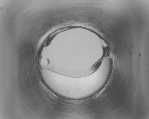 X0000053081502200508081232