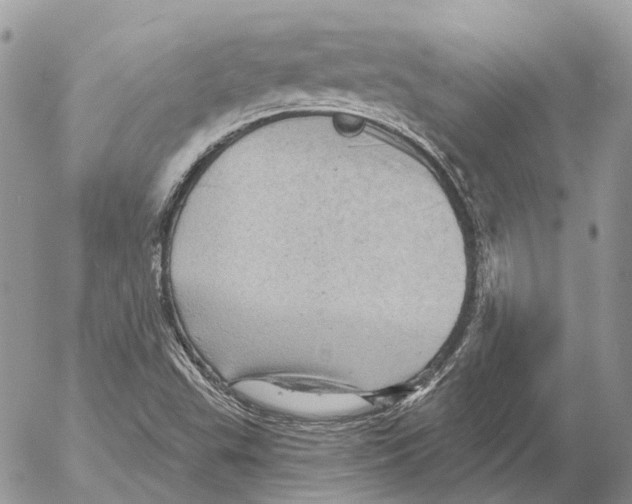 X0000053081503200508081232