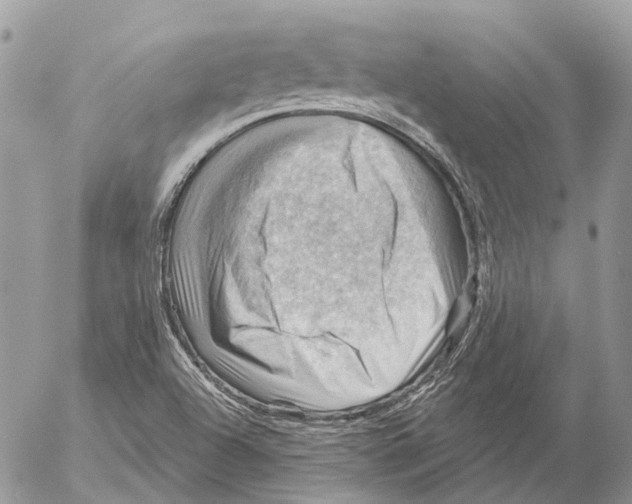 X0000053081504200508081232