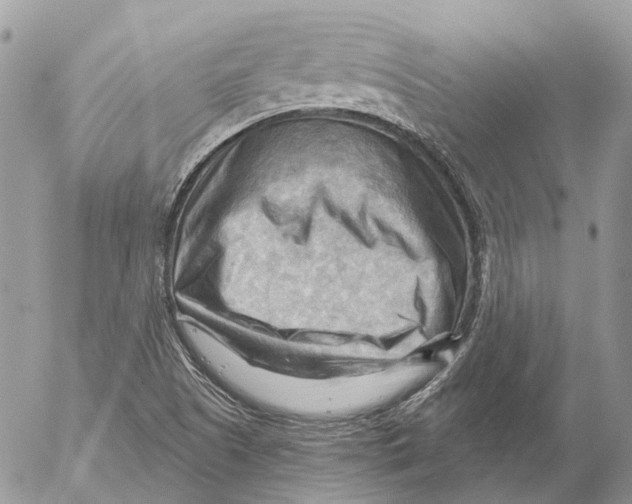 X0000053081505200508081232