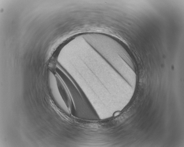 X0000053081507200508081232