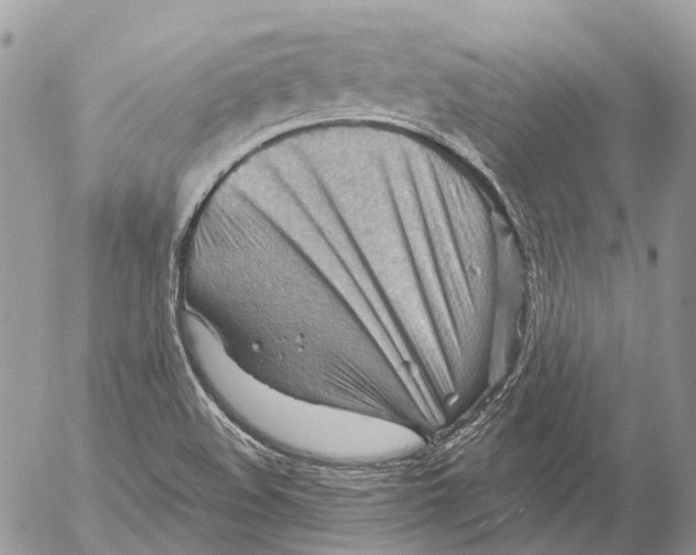 X0000053081508200508081232