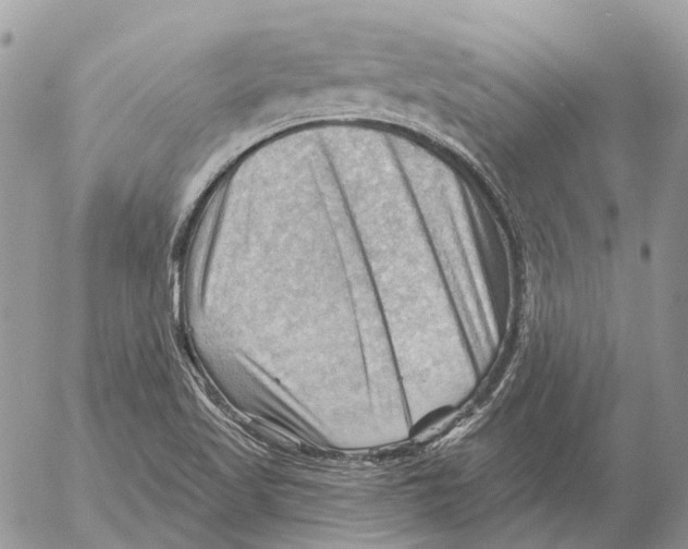 X0000053081509200508081232