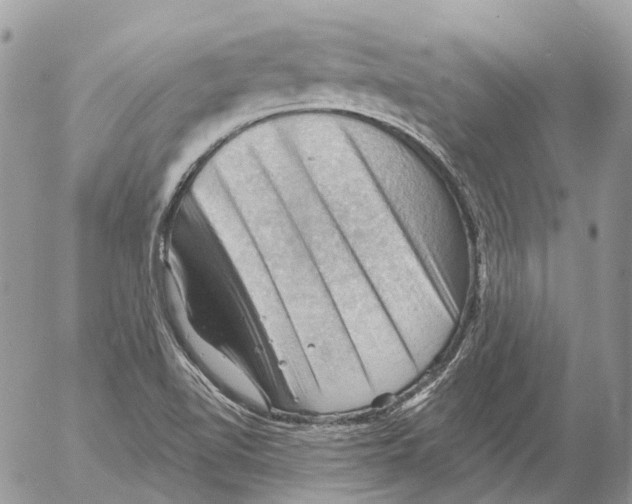 X0000053081510200508081232