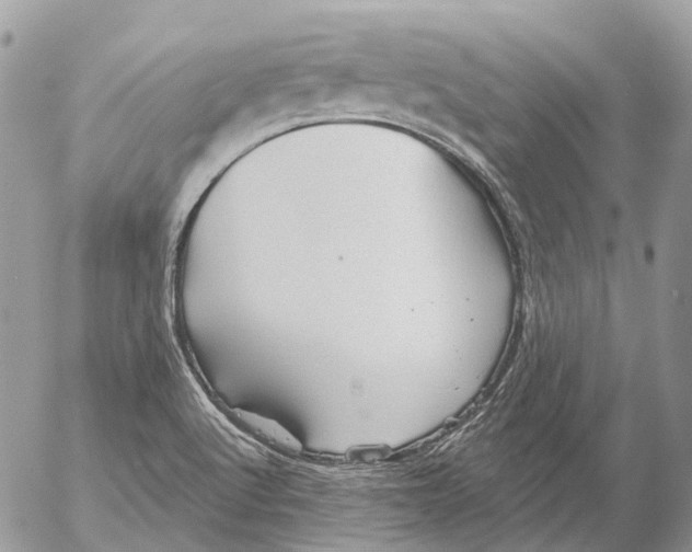 X0000053081512200508081232