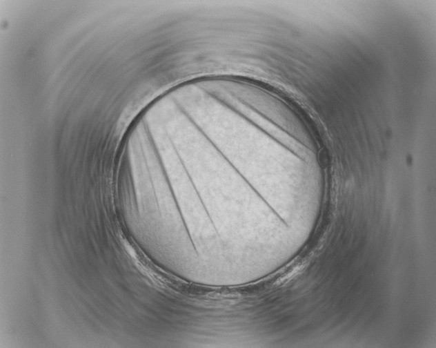 X0000053081513200508081232