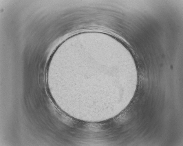 X0000053081514200508081232