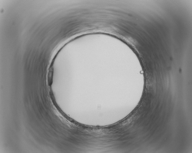 X0000053081516200508081232