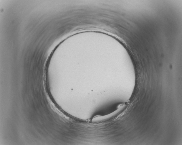 X0000053081518200508081232