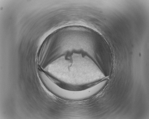 X0000053081519200508081232