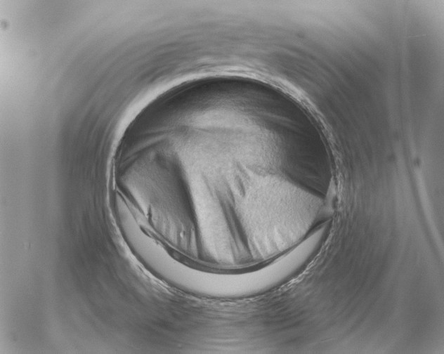 X0000053081520200508081232