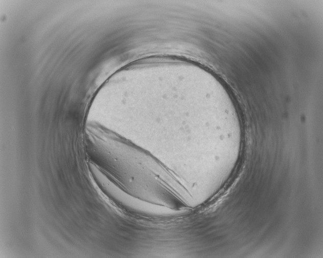 X0000053081521200508081232