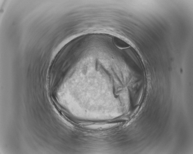 X0000053081525200508081232