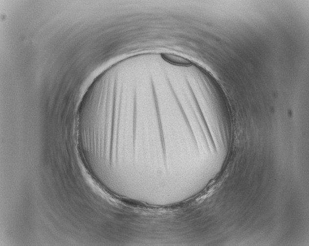 X0000053081526200508081232