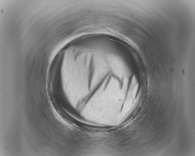 X0000053081528200508081232