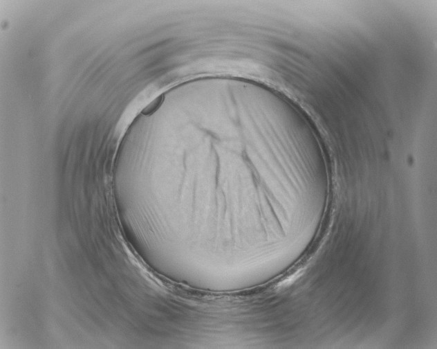 X0000053081529200508081232