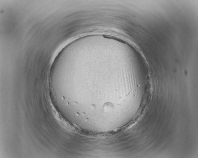 X0000053081530200508081232