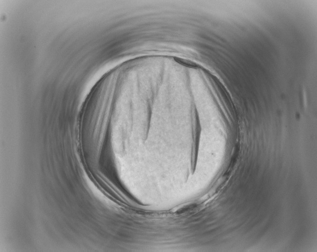 X0000053081531200508081232