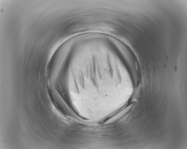 X0000053081532200508081232