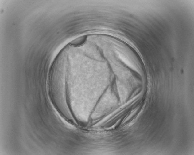 X0000053081533200508081232