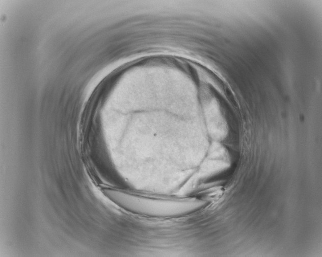 X0000053081535200508081232