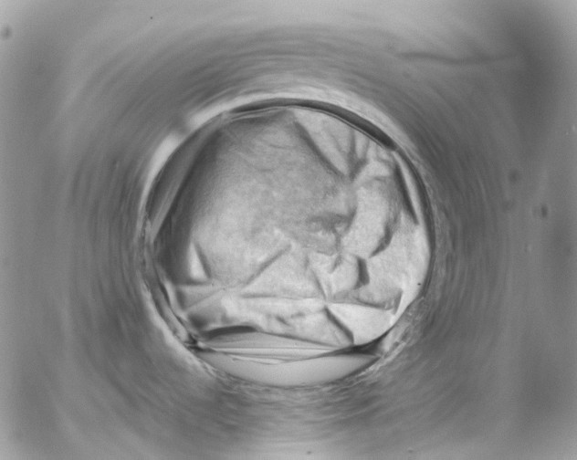 X0000053081536200508081232