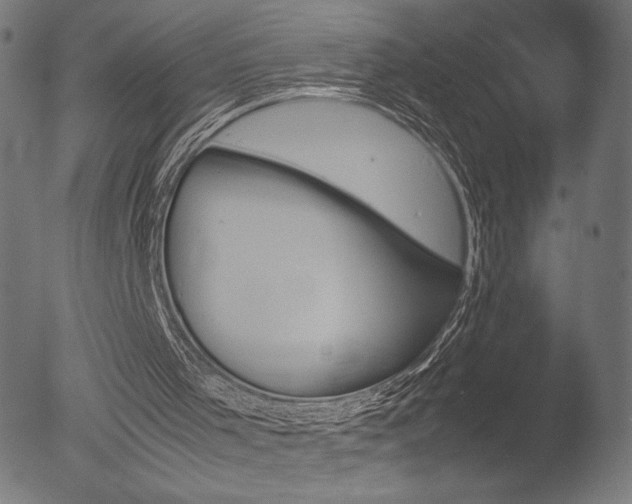 X0000053090001200507111210