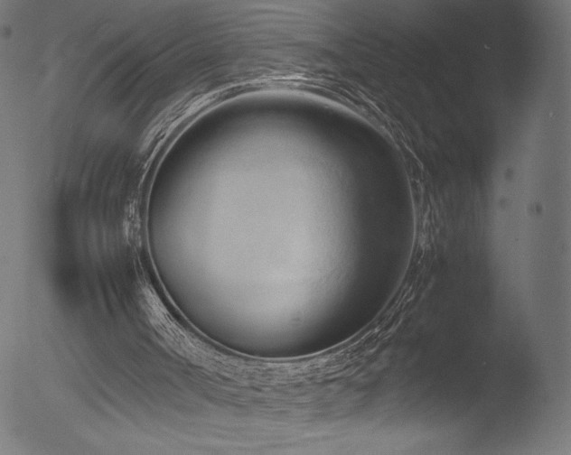 X0000053090002200507111210