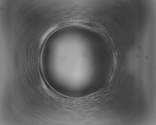 X0000053090003200507111210