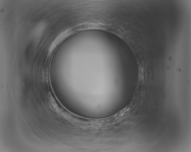 X0000053090004200507111210