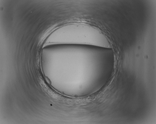 X0000053090005200507111209