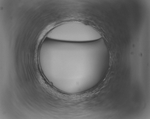 X0000053090006200507111209