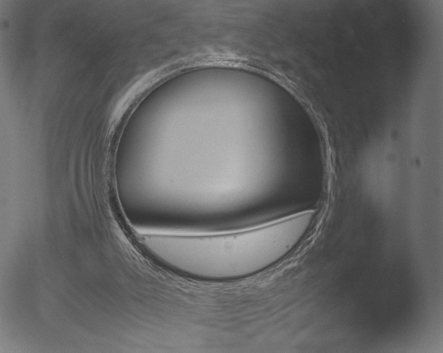 X0000053090007200507111209