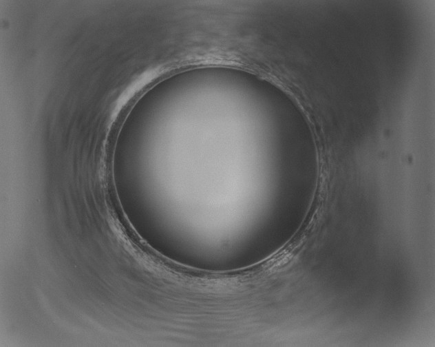 X0000053090008200507111209