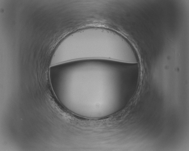 X0000053090009200507111209