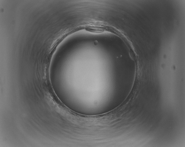 X0000053090010200507111209