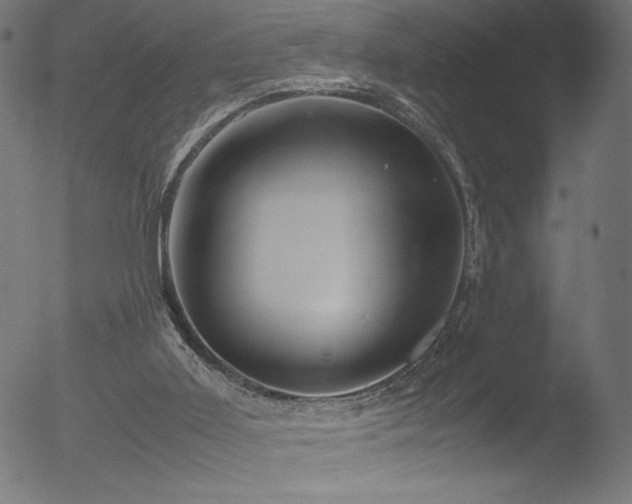 X0000053090011200507111209