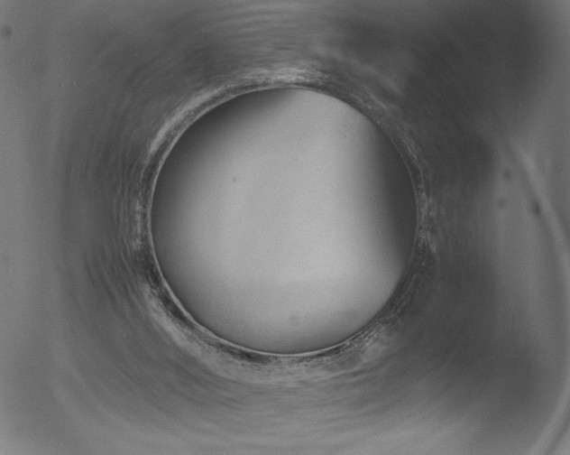 X0000053090012200507111209