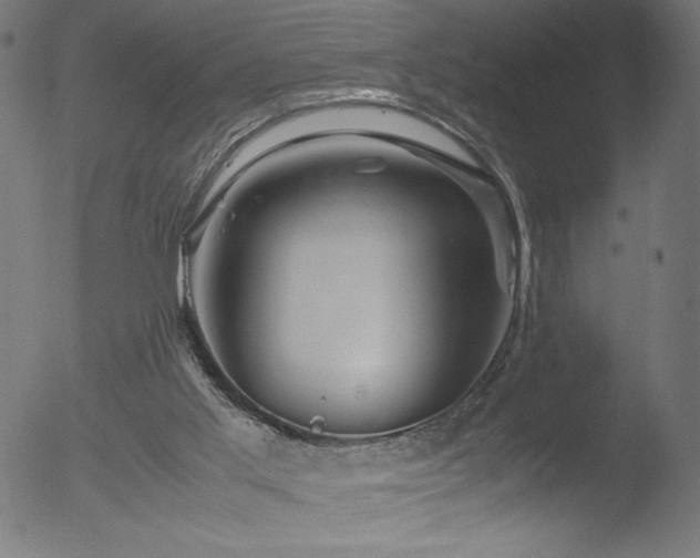 X0000053090013200507111209