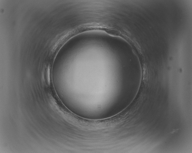 X0000053090014200507111209