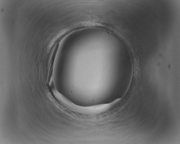 X0000053090015200507111209