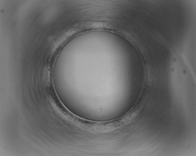 X0000053090016200507111209