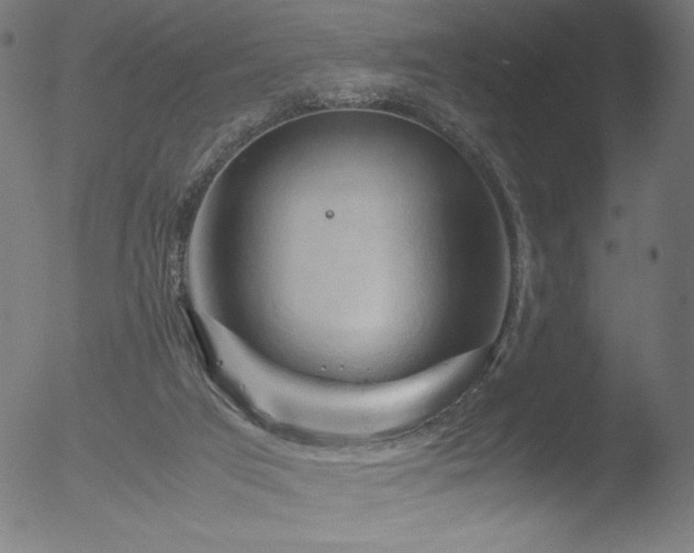 X0000053090017200507111209