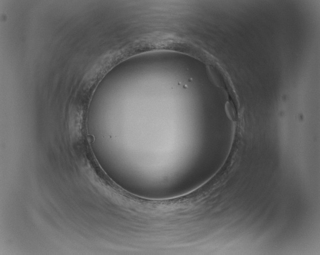 X0000053090018200507111209