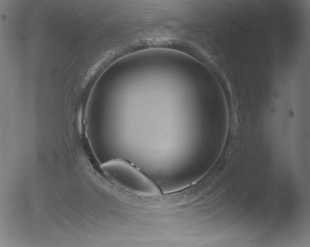 X0000053090019200507111209