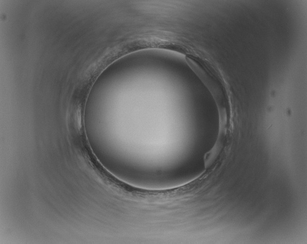 X0000053090021200507111209