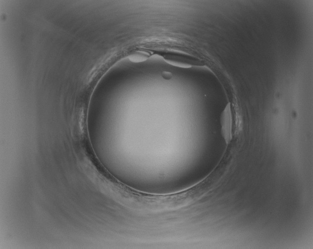 X0000053090023200507111209