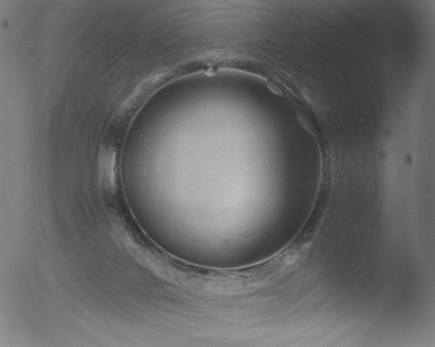 X0000053090024200507111209