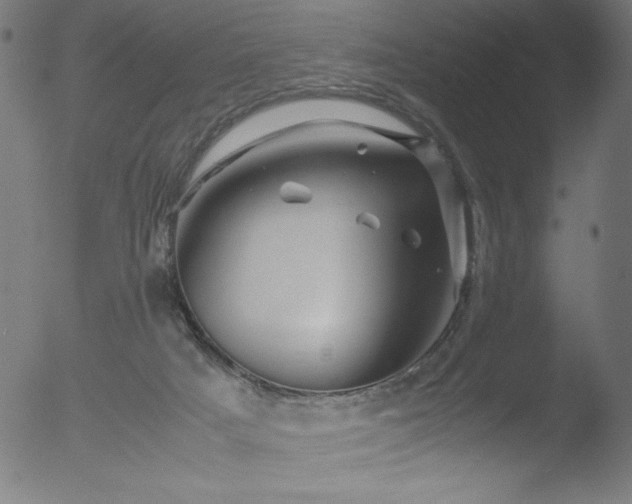 X0000053090025200507111209